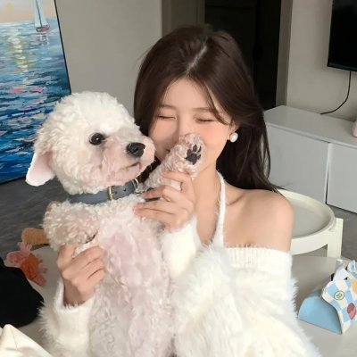 傲娇与偏见
